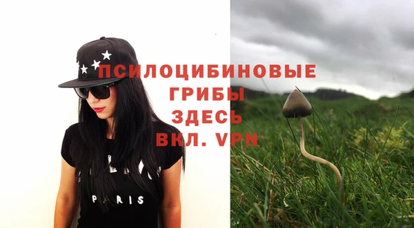 бошки Алексеевка