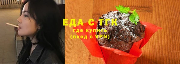 хмурый Аркадак
