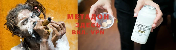 хмурый Аркадак