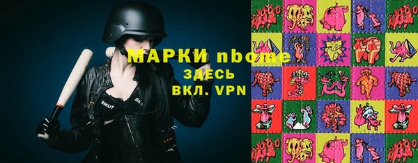 хмурый Аркадак
