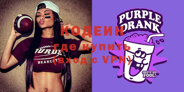 хмурый Аркадак