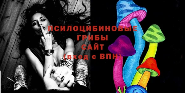 хмурый Аркадак