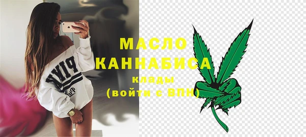 хмурый Аркадак