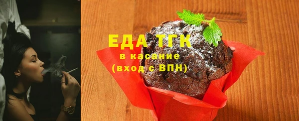 хмурый Аркадак